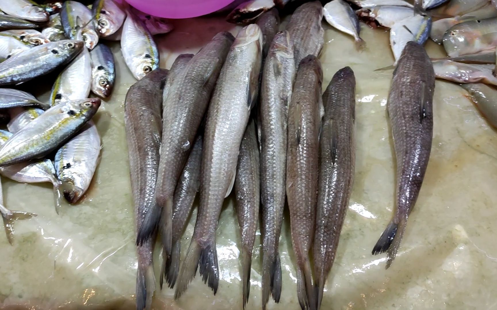 推薦一些簡(jiǎn)單的葵龍魚菜譜，葵龍魚家常做法清單