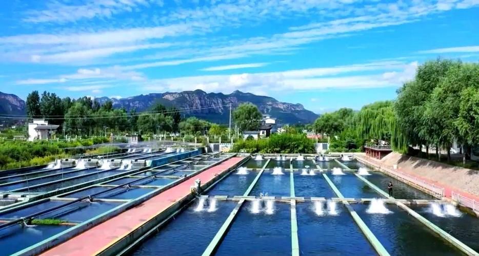 還有哪些地方是涉縣龍魚的正宗產地？，河北涉縣鱘魚養殖的正宗產地與核心區域
