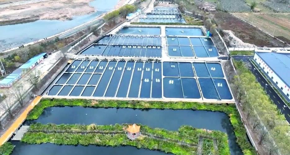還有哪些地方是涉縣龍魚的正宗產地？，河北涉縣鱘魚養殖的正宗產地與核心區域