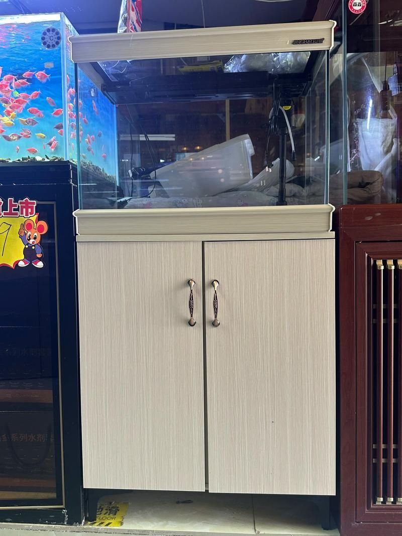 如何科學(xué)飼養(yǎng)銀龍魚，如何判斷銀龍魚是否健康，科學(xué)飼養(yǎng)銀龍魚需要哪些設(shè)備
