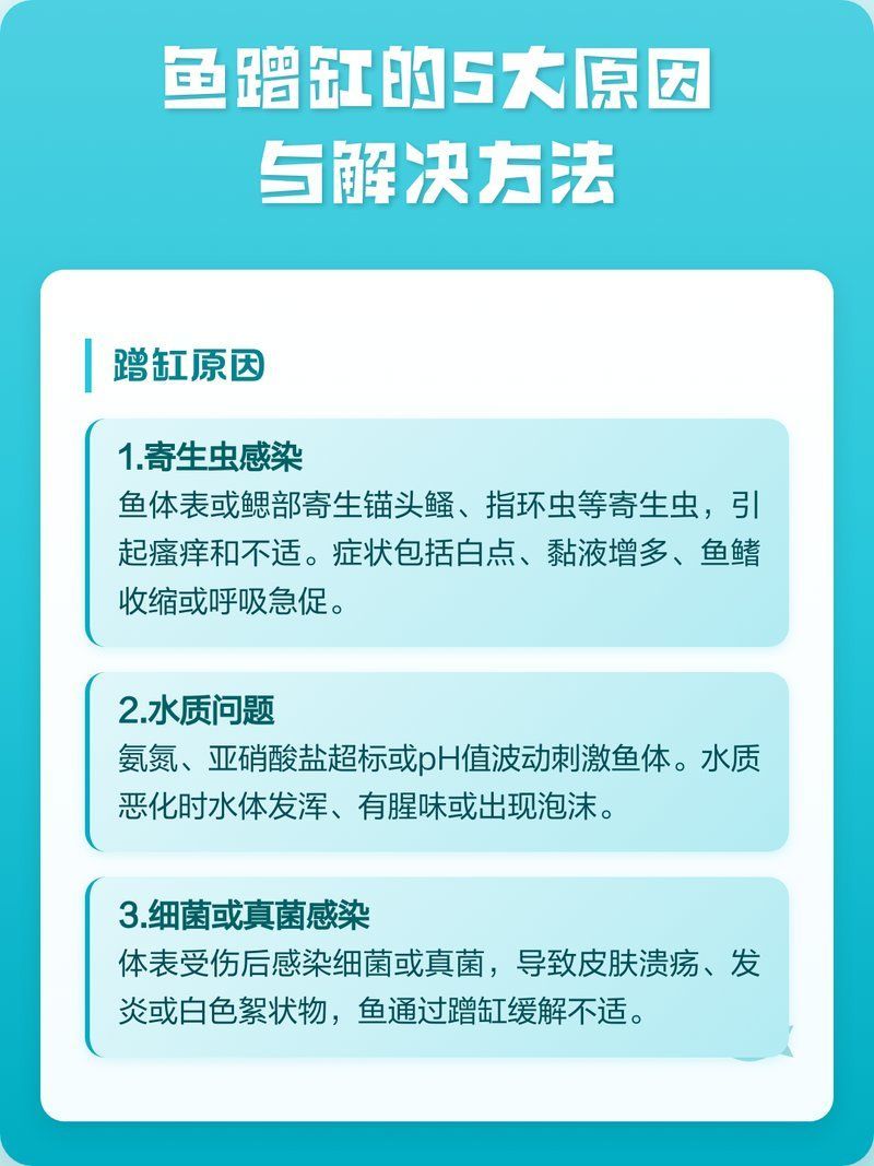 如何判斷龍魚蹭缸是哪種原因引起的，酷拽生活家，魚蹭缸的5大原因與解決方法