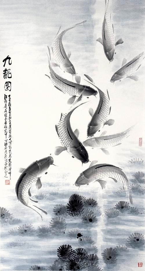 有沒有更多九龍魚風水圖片資源？，九龍魚風水圖片