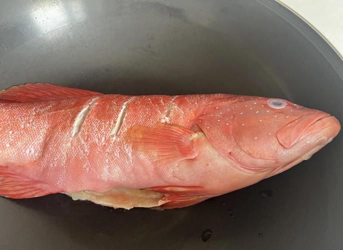 如何判斷紅龍魚是否烹飪成熟，關于紅龍魚烹飪成熟判斷