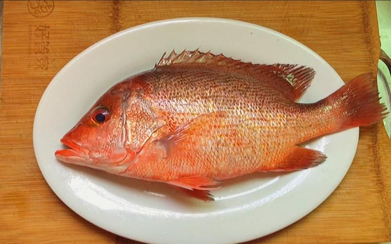 如何判斷紅龍魚是否烹飪成熟，關于紅龍魚烹飪成熟判斷