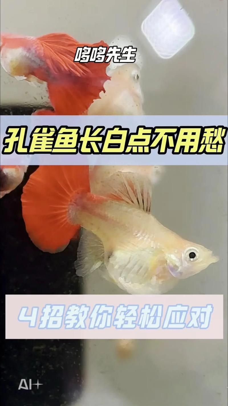 如何判斷孔雀魚是否受到威脅，arxiv論文助手arxiv論文助手arxiv論文助手