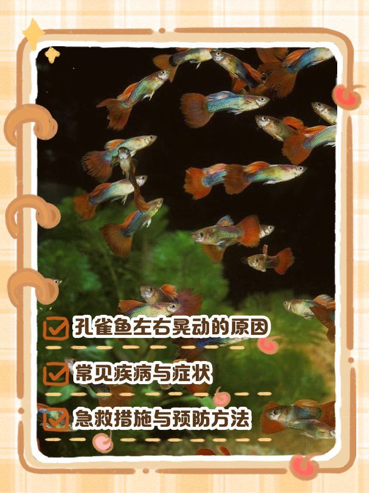 如何判斷孔雀魚是否受到威脅，arxiv論文助手arxiv論文助手arxiv論文助手