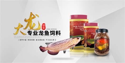 如何馴食龍魚吃人工飼料？，如何馴食龍魚吃人工飼料