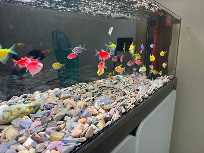 如何選擇適合的森森魚缸系列，森森魚缸怎么選