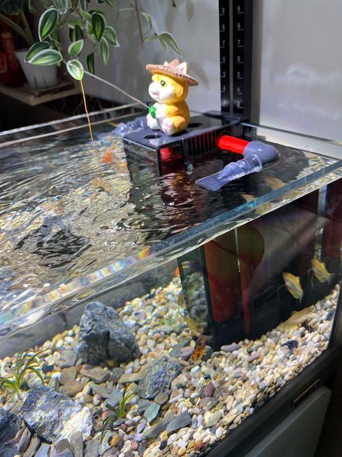 如何選擇適合的森森魚缸系列，森森魚缸怎么選