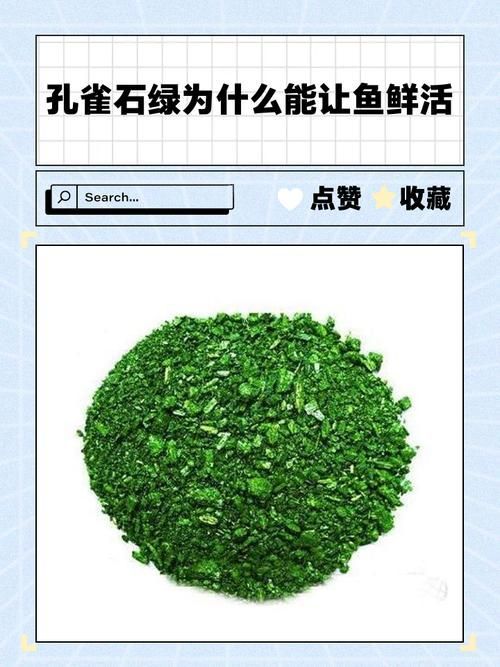 如何判斷龍魚是否被藥物殘留污染？，如何判斷龍魚是否被藥物殘留污染