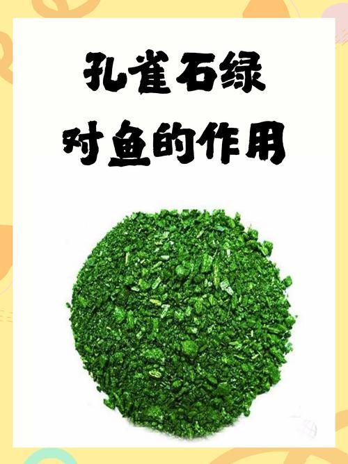 如何判斷龍魚是否被藥物殘留污染？，如何判斷龍魚是否被藥物殘留污染