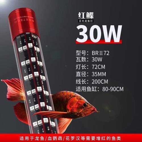 有哪些品牌的紅龍魚側燈推薦，紅龍魚側燈品牌推薦：紅龍魚側燈推薦，紅龍魚側燈
