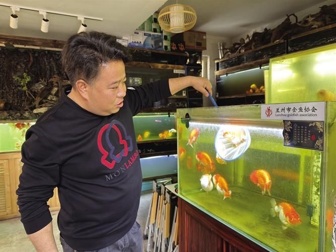 蘭州龍魚愛好者有哪些知名人士,蘭州龍魚愛好者有哪些知名人士? 龍魚百科 第2張 蘭州龍魚愛好者有哪些知名人士,蘭州龍魚愛好者有哪些知名人士? 蘭州龍魚愛好者有哪些知名人士,蘭州龍魚愛好者有哪些知名人士? 龍魚百科 第2張
