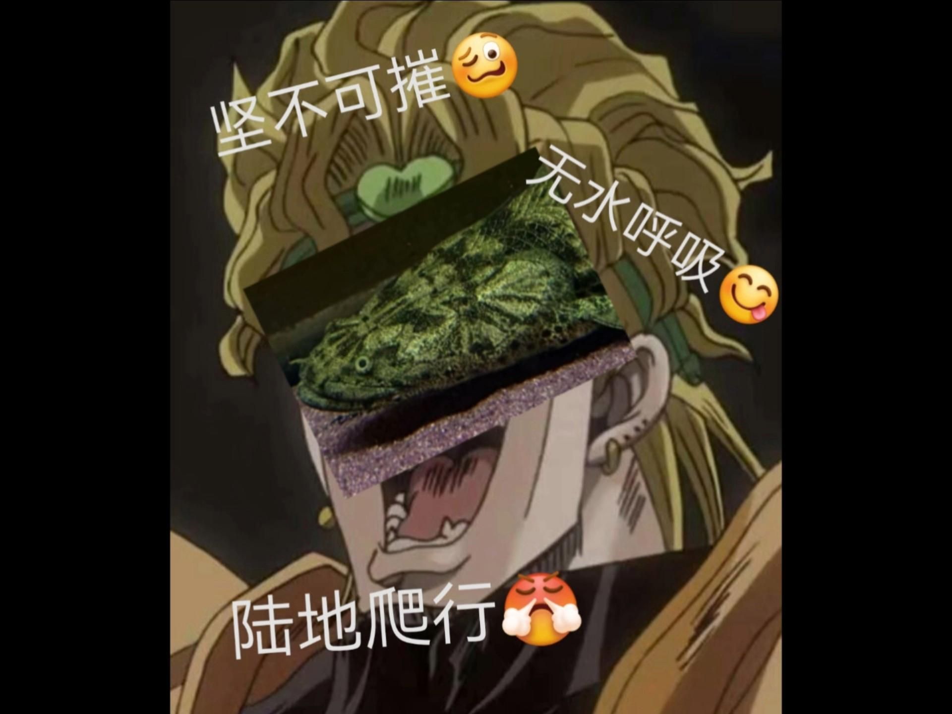 能給出更多恐龍魚的品種嗎，恐龍魚哪個品種最受歡迎，恐龍魚的品種對照表