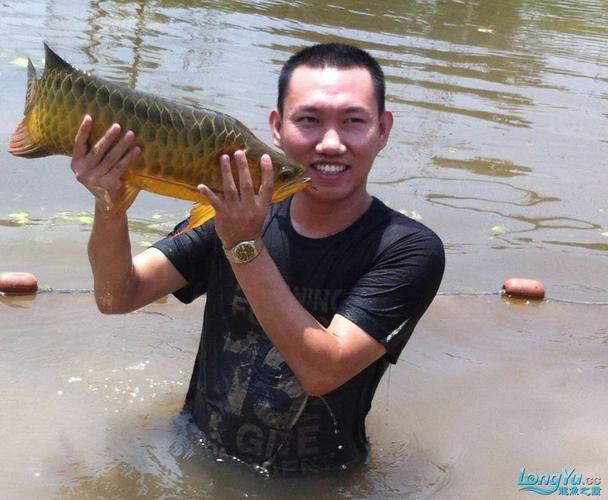有沒有推薦的杭州龍魚水族店？，杭州龍魚水族店推薦