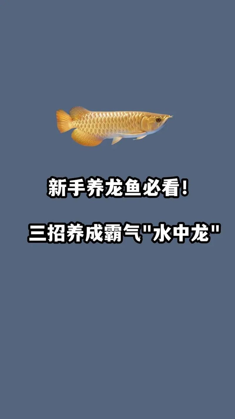 CCTV12龍魚頻道節目表2025年11月14日，cctv12龍魚頻道2025年11月14日播出《見證》