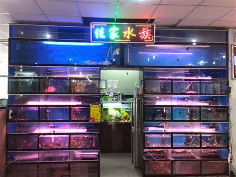 龍魚醫生店一般提供哪些服務？，龍魚醫生店主要提供以下服務