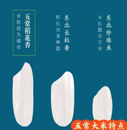 如何辨別金龍魚五常大米的真?zhèn)危宄４竺渍鎮(zhèn)舞b別