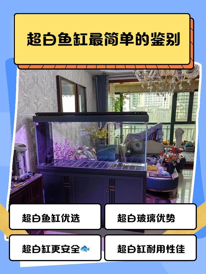 如何判斷魚缸是否為超白玻璃，判斷魚缸是否為超白玻璃，超白玻璃魚缸選購避坑指南 如何判斷魚缸是否為超白玻璃，判斷魚缸是否為超白玻璃，超白玻璃魚缸選購避坑指南 龍魚百科 第1張