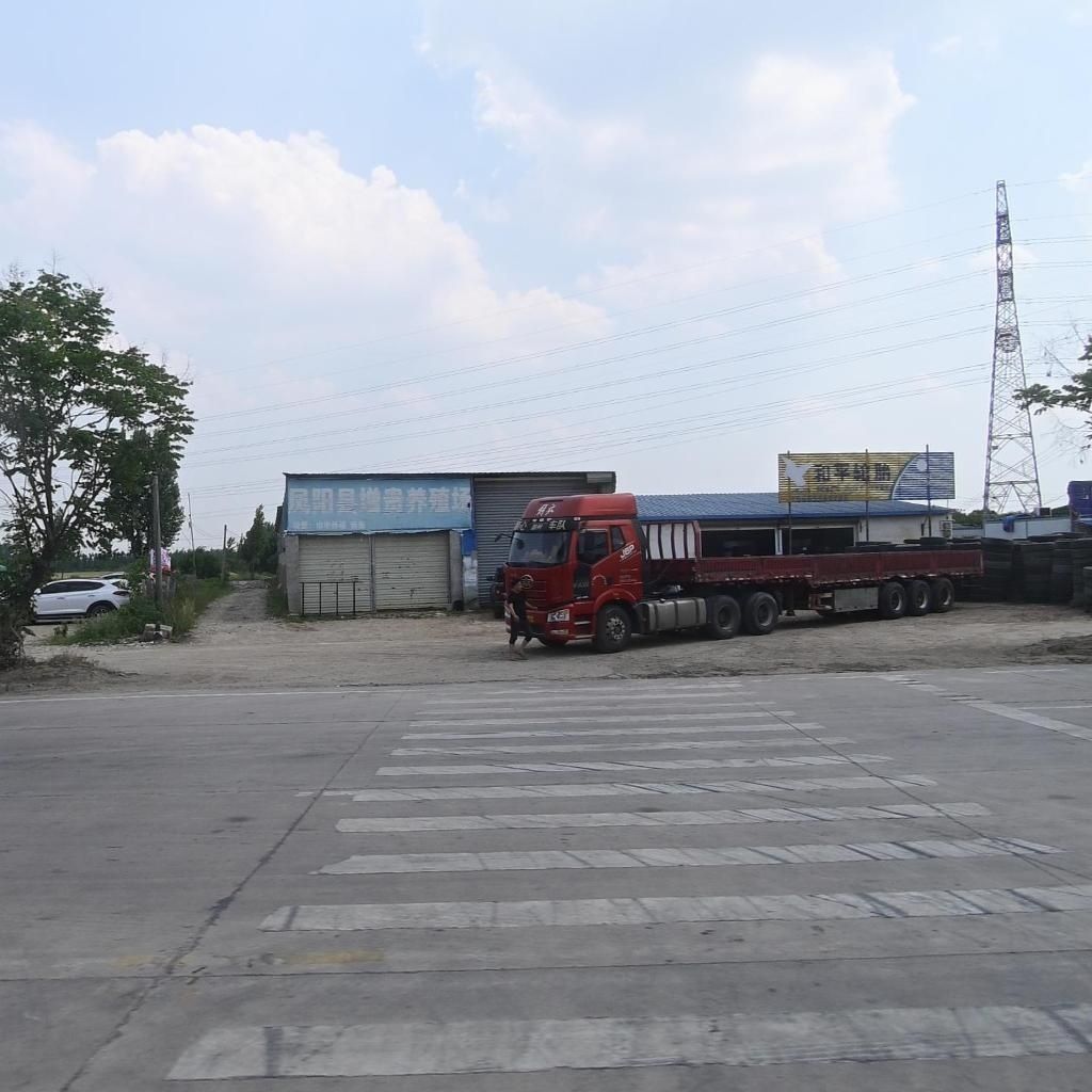 哪里可以找到鳳陽龍魚的養殖場，如何尋找鳳陽龍魚養殖場？ 哪里可以找到鳳陽龍魚的養殖場，如何尋找鳳陽龍魚養殖場？ 龍魚百科