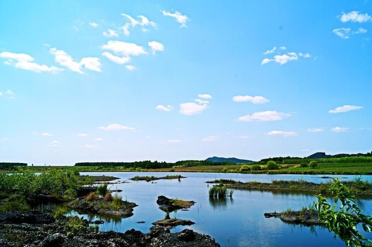 五大連池鰱魚和龍魚有什么區(qū)別?,五大連池鰱魚與龍魚的區(qū)別 龍魚百科 第1張 五大連池鰱魚和龍魚有什么區(qū)別?,五大連池鰱魚與龍魚的區(qū)別 五大連池鰱魚和龍魚有什么區(qū)別?,五大連池鰱魚與龍魚的區(qū)別 龍魚百科 第1張