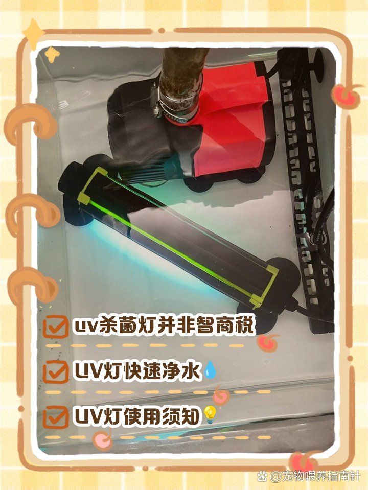 UV殺菌燈對龍魚有影響嗎，uv殺菌燈哪個品牌好uv殺菌燈哪個品牌好