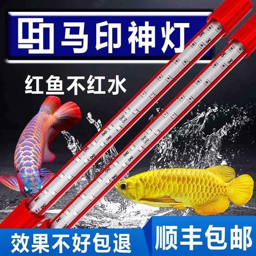 紅龍魚缸的配置有哪些推薦，紅龍魚缸的配置 紅龍魚缸的配置有哪些推薦，紅龍魚缸的配置 龍魚百科 第5張