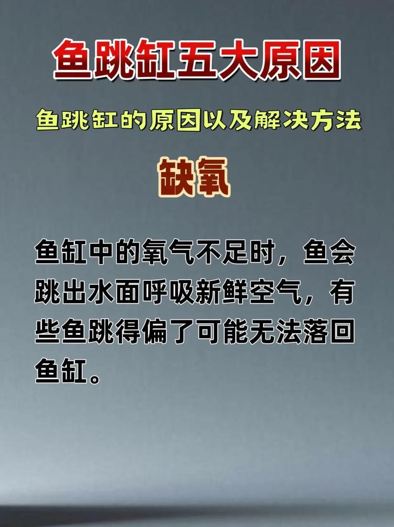 龍魚疾病治療中常見錯(cuò)誤有哪些，龍魚疾病治療中常見錯(cuò)誤