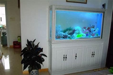 魚之家生態龍魚缸的定制服務如何？，魚之家生態龍魚缸案例