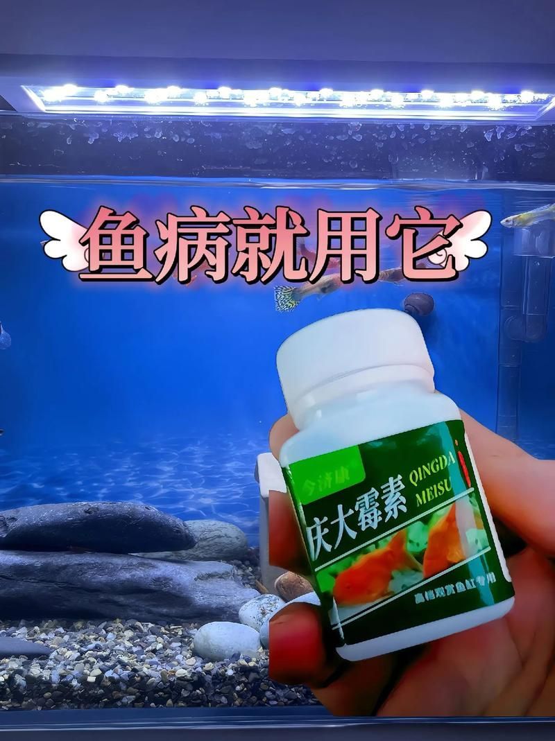 哪些藥物可以輔助龍魚恢復？，富媒體組件庫召回多篇高質(zhì)量筆記（100mg/l（100mg/l（100mg/l）