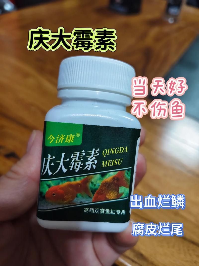 哪些藥物可以輔助龍魚恢復？，富媒體組件庫召回多篇高質(zhì)量筆記（100mg/l（100mg/l（100mg/l）