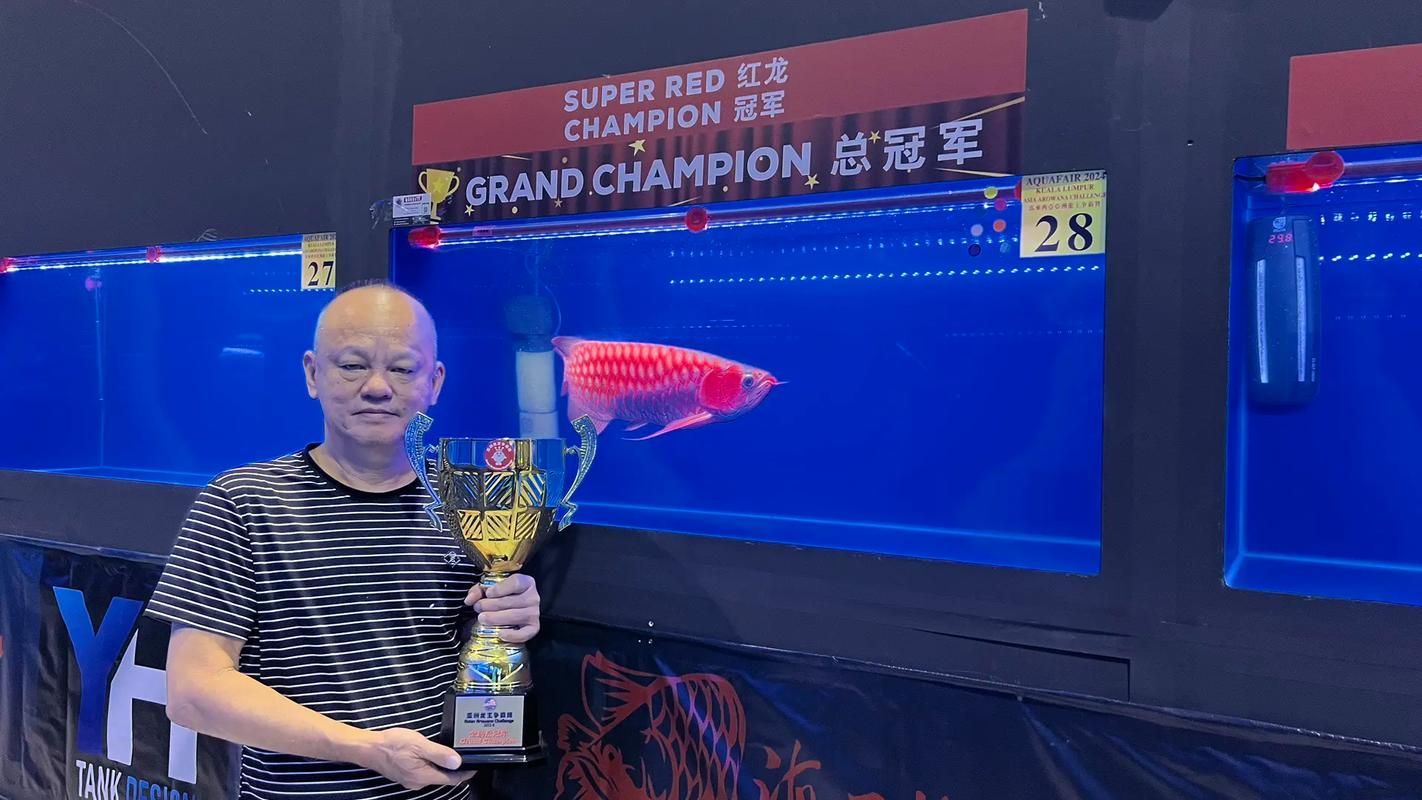 2024年龍魚比賽有哪些組別，024年龍魚比賽的組別包括：金龍組：這是龍魚比賽中的最高級別