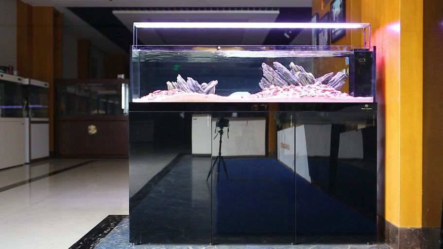 可麗愛魚缸有哪些型號(hào)推薦？，可麗愛魚缸各型號(hào)參數(shù)對(duì)比表