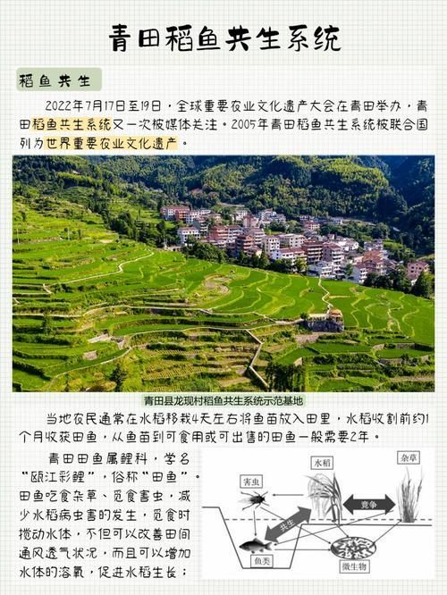 有哪些混養案例可以參考，國內外典型混養案例信息整理完整、數據權威案例信息