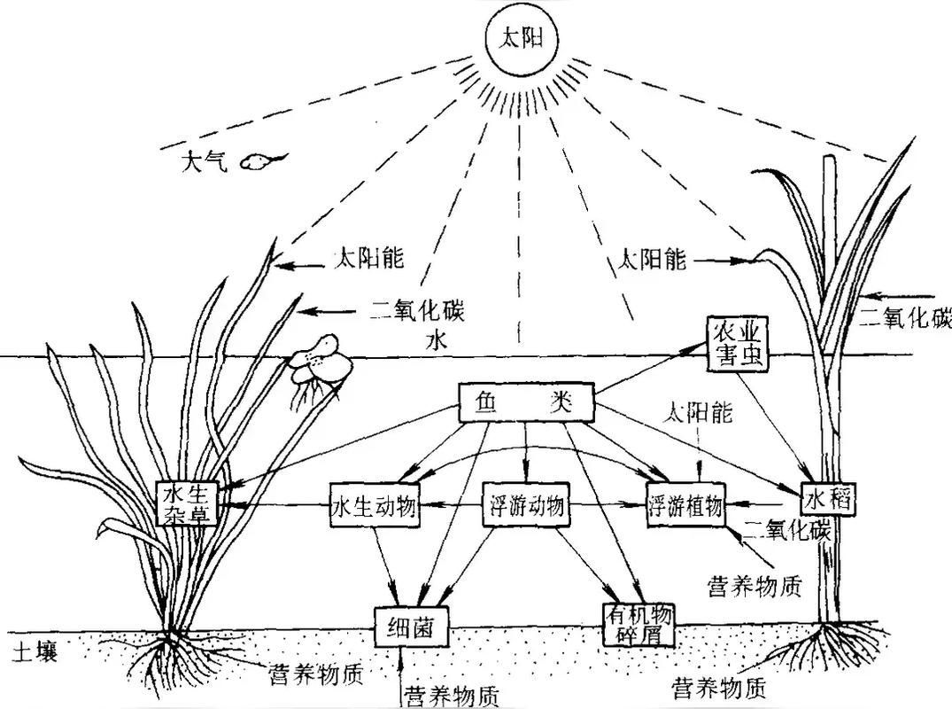 有哪些混養案例可以參考，國內外典型混養案例信息整理完整、數據權威案例信息
