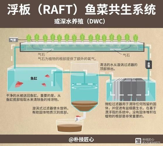 有哪些混養案例可以參考，國內外典型混養案例信息整理完整、數據權威案例信息