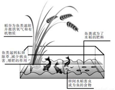 有哪些混養案例可以參考，國內外典型混養案例信息整理完整、數據權威案例信息