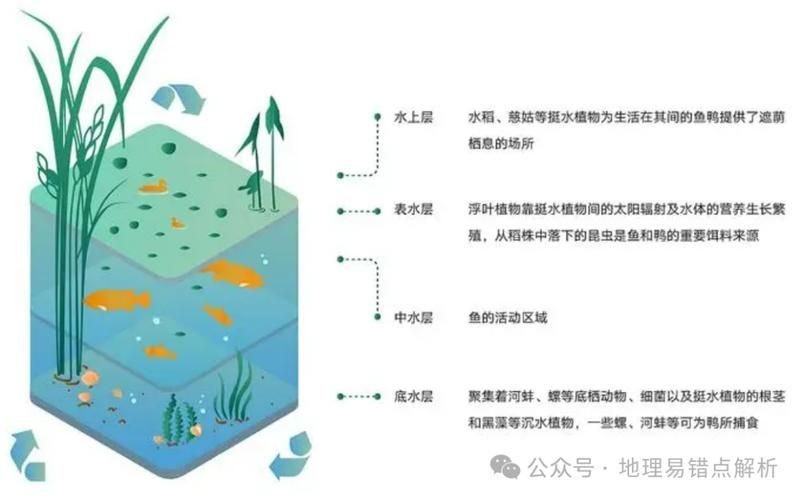 有哪些混養案例可以參考，國內外典型混養案例信息整理完整、數據權威案例信息