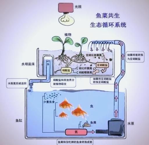有哪些混養案例可以參考，國內外典型混養案例信息整理完整、數據權威案例信息