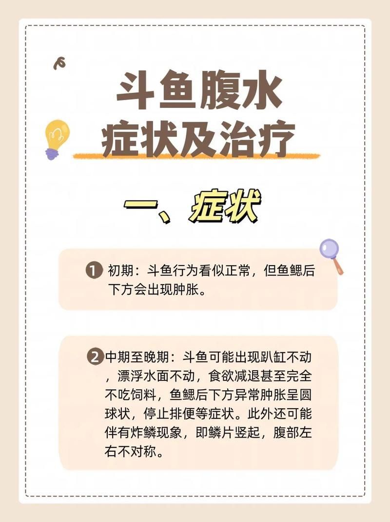 如何預防魚患腹水病，arxiv論文助手arxiv論文助手arxiv論文助手 如何預防魚患腹水病，arxiv論文助手arxiv論文助手arxiv論文助手 龍魚百科 第2張