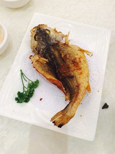 能提供香煎清遠龍魚的詳細食譜嗎，香煎清遠桂花魚