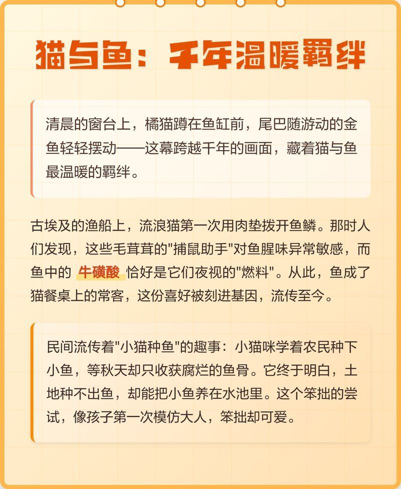 有哪些成功的貓和魚共養(yǎng)案例，貓和魚共養(yǎng)的注意事項(xiàng)
