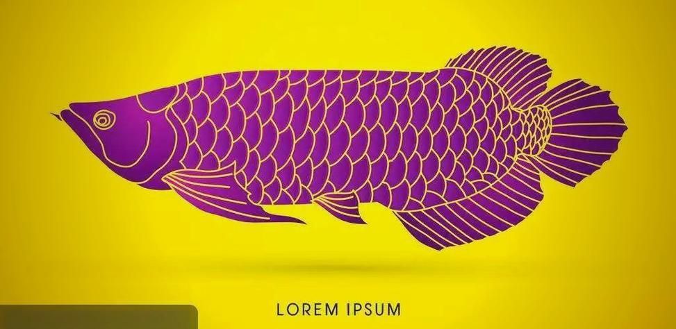 如何在雙城區購買到正宗的龍魚？，雙城區龍魚購買指南