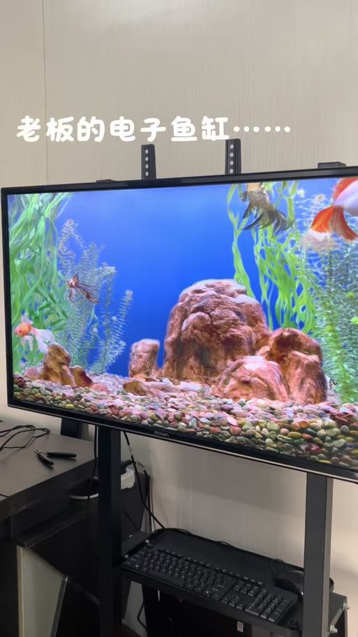 給我推薦幾款適合龍魚混養的魚缸，幾款適合龍魚混養的魚缸推薦