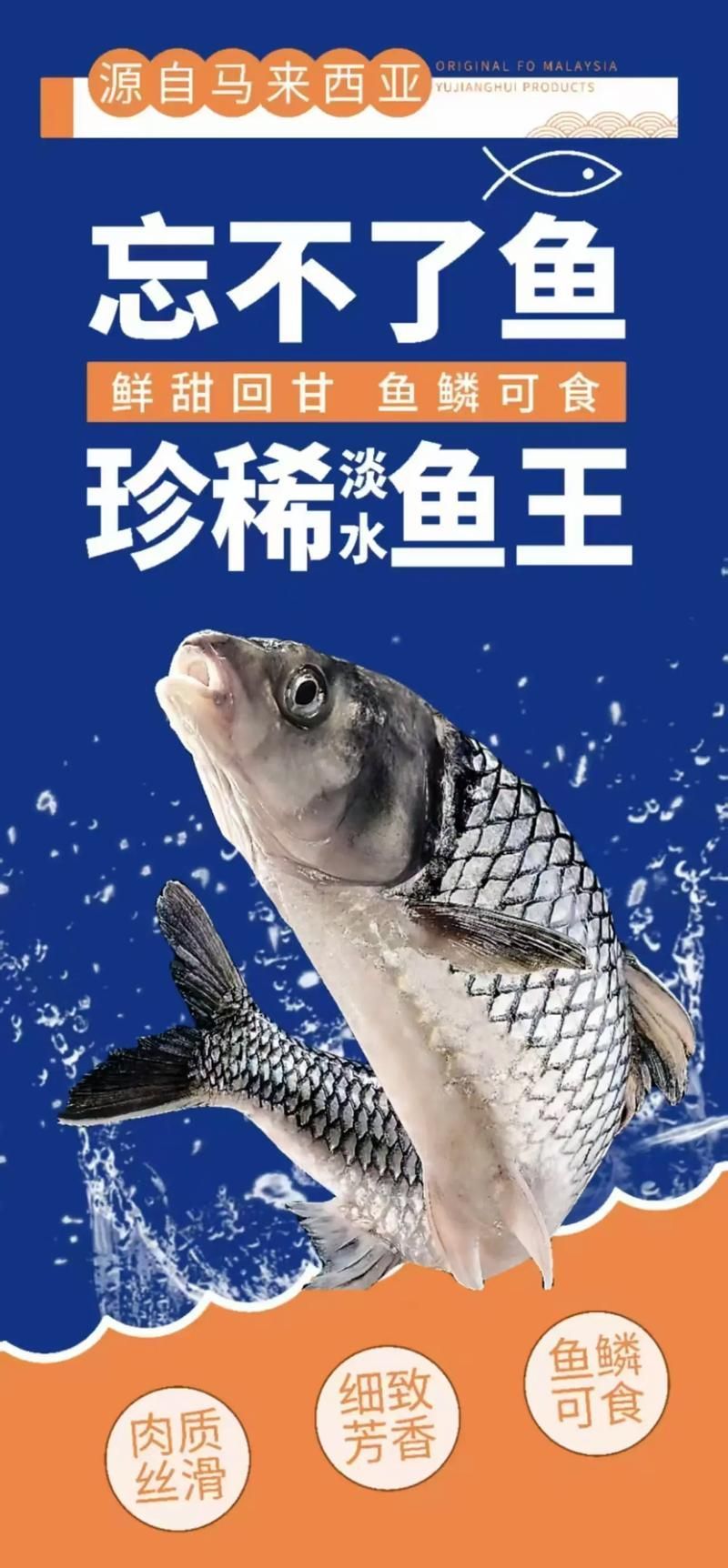 祥龍魚場的忘不了魚價格是多少？