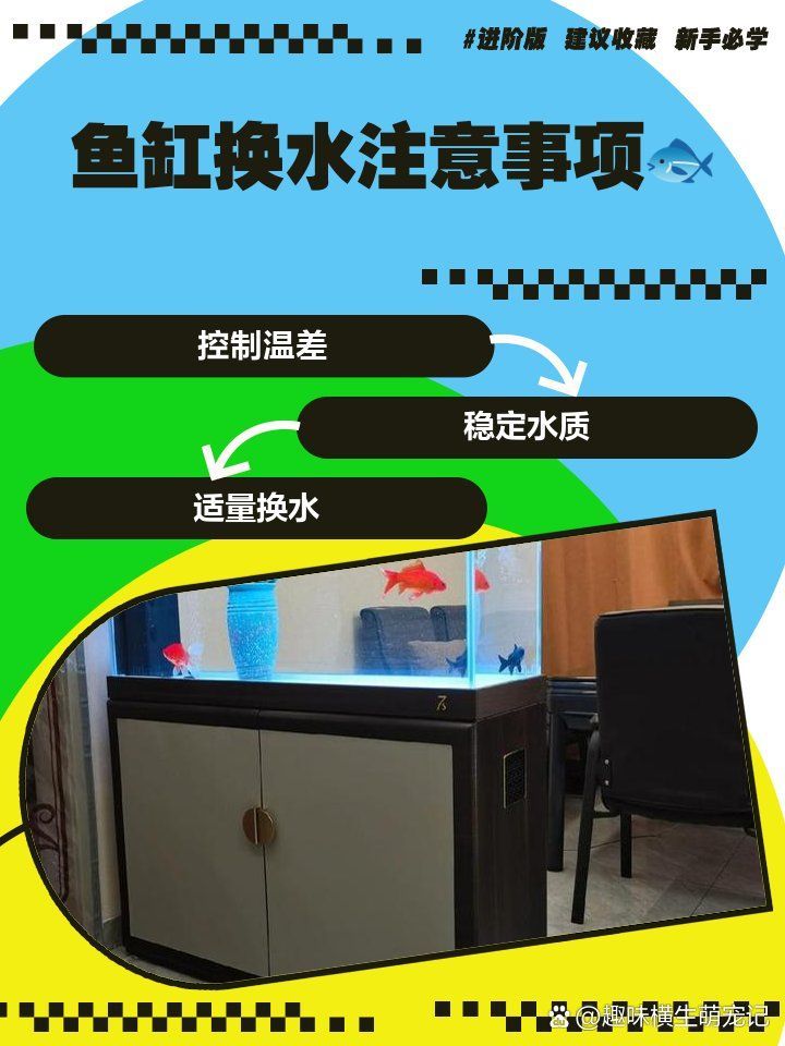 換水時需要注意什么，小魚缸換水的正確方法 換水時需要注意什么，小魚缸換水的正確方法 龍魚百科 第1張