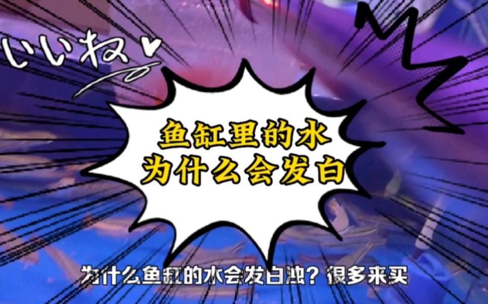 魚缸水發白霧蒙蒙對魚有哪些影響，魚缸水發白霧蒙蒙如何快速處理 魚缸水發白霧蒙蒙對魚有哪些影響，魚缸水發白霧蒙蒙如何快速處理 龍魚百科