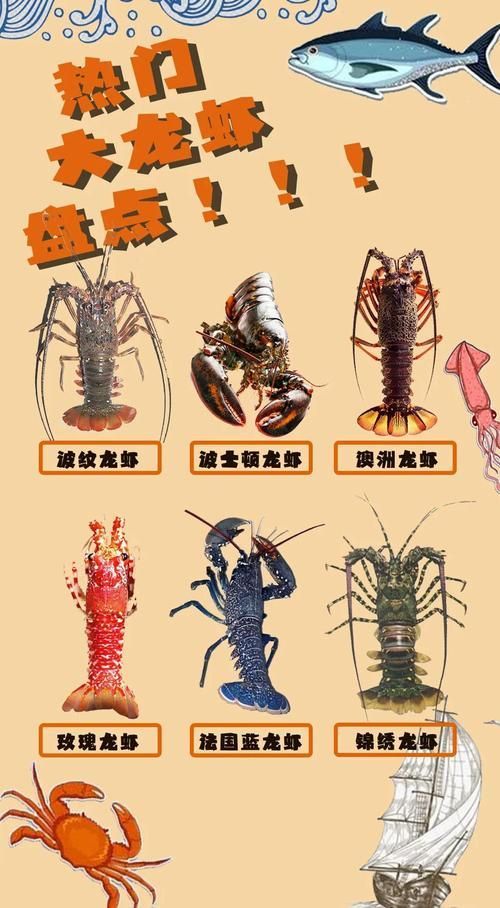 有沒有更多種類的龍蝦圖片，淡水龍蝦和海水龍蝦的烹飪方式多樣，龍蝦的烹飪方式多樣