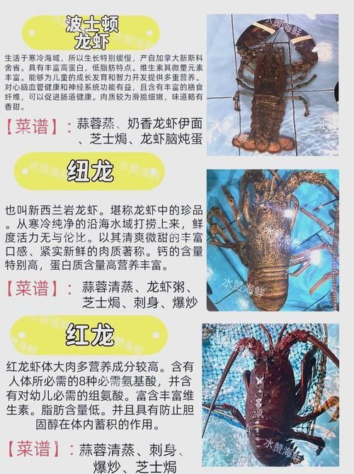 有沒有更多種類的龍蝦圖片，淡水龍蝦和海水龍蝦的烹飪方式多樣，龍蝦的烹飪方式多樣