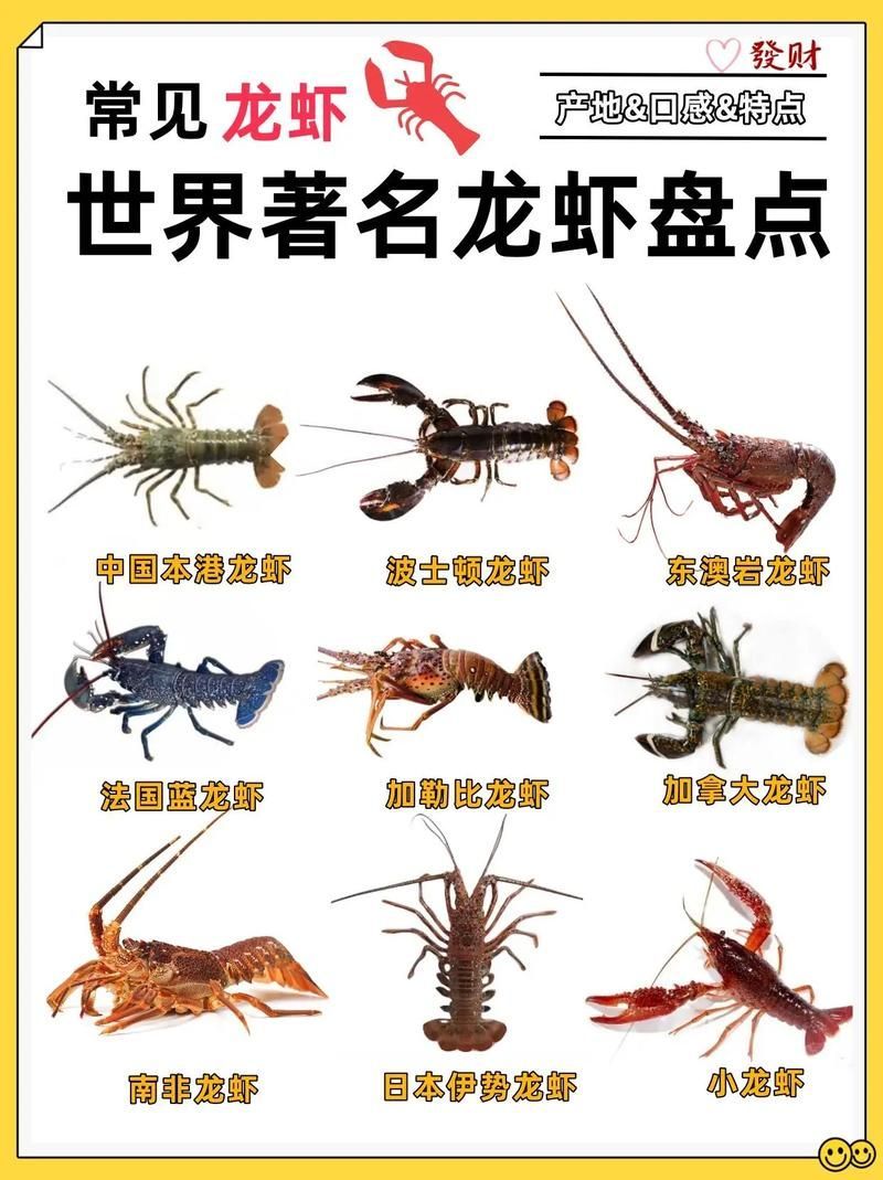 有沒有更多種類的龍蝦圖片，淡水龍蝦和海水龍蝦的烹飪方式多樣，龍蝦的烹飪方式多樣